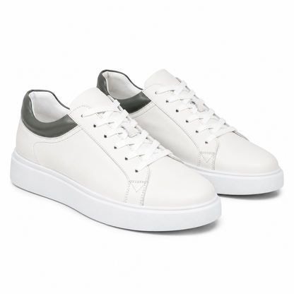 PANTOFI CASUAL BARBATI FRANCO GERARDO T231103 ALBI