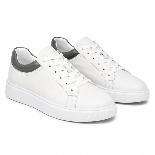 PANTOFI CASUAL BARBATI FRANCO GERARDO T231103 ALBI