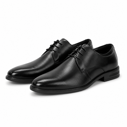 PANTOFI ELEGANTI BARBATI ELDEMAS F066-020 NEGRI