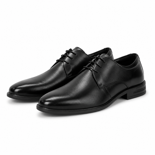 PANTOFI ELEGANTI BARBATI ELDEMAS F066-020 NEGRI