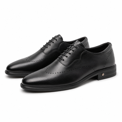 PANTOFI ELEGANTI BARBATI ELDEMAS F066-025 NEGRI