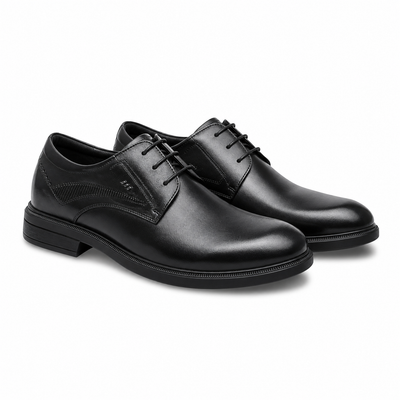 PANTOFI ELEGANTI BARBATI ELDEMAS FKH96608 NEGRI