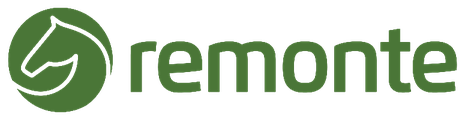 Logo REMONTE